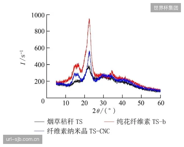 微观剪切强度与界面结晶度指标的优化，本质上是对运动员生物力学需求的深度响应