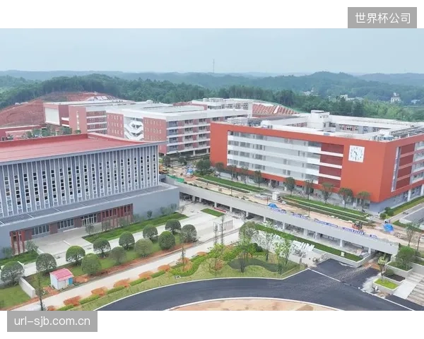 TCXO温漂补偿技术已发展至亚微秒级,但多数国际体育单项联合会的计时规则更新却严重滞后 TCXO温漂补偿技术已发展至亚微秒级,但多数国际体育单项联合会的计时规则更新却严重滞后